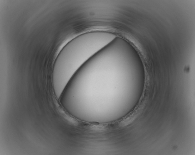 X0000093241473200709261520