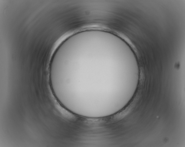 X0000093241474200709261520