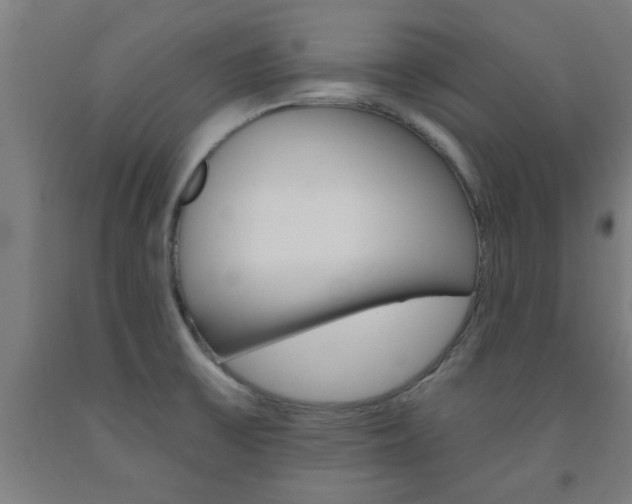 X0000093241475200709261520