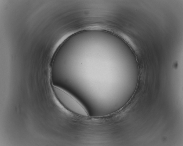 X0000093241476200709261520