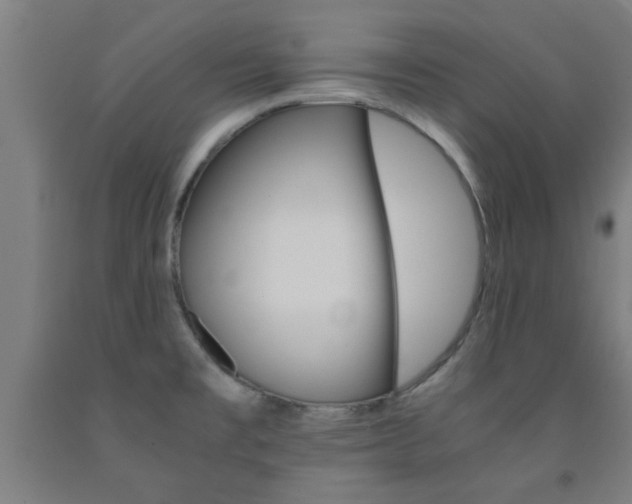 X0000093241477200709261520