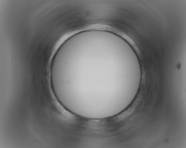 X0000093241478200709261520