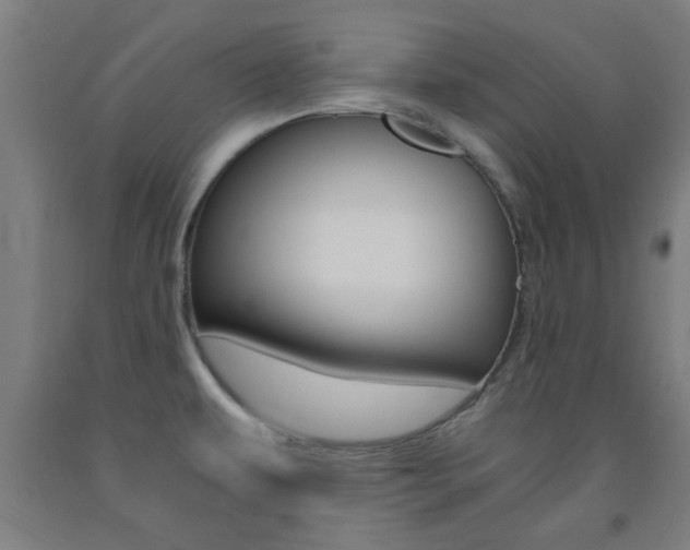 X0000093241479200709261520
