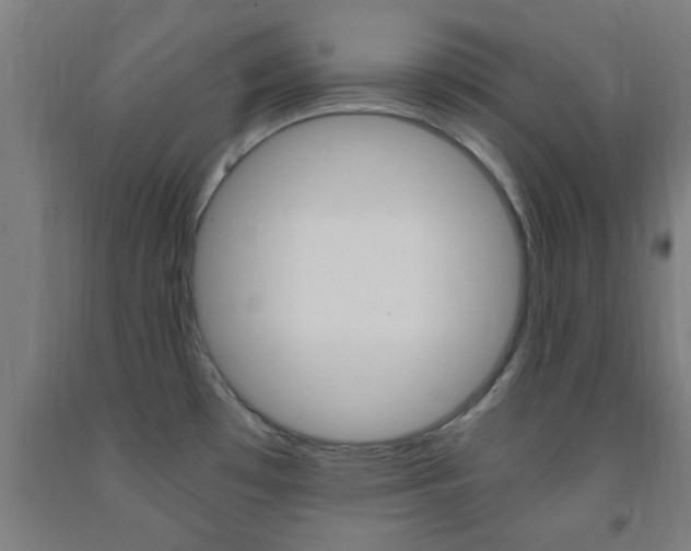 X0000093241481200709261520