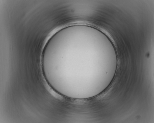 X0000093241482200709261520