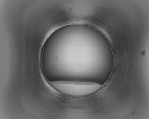 X0000093241483200709261519