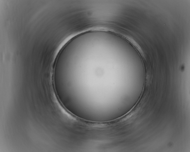 X0000093241484200709261519