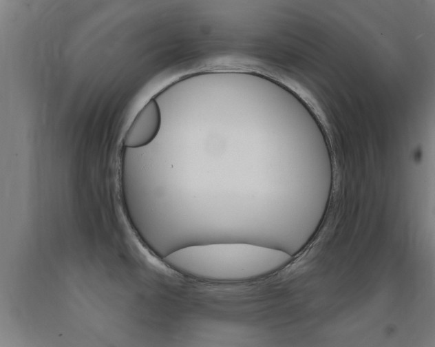 X0000093241486200709261519
