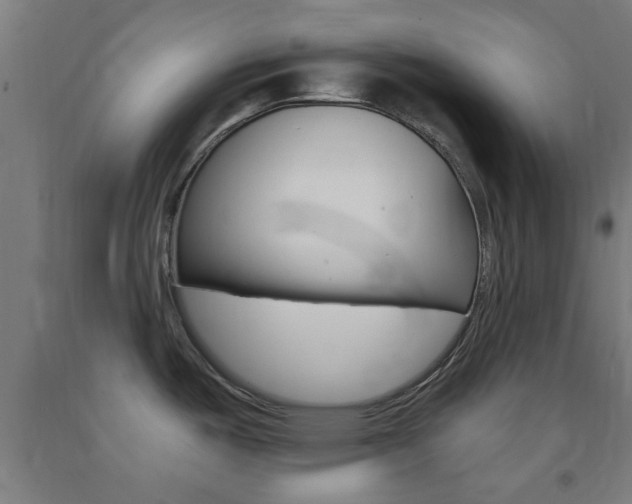 X0000093241487200709261519