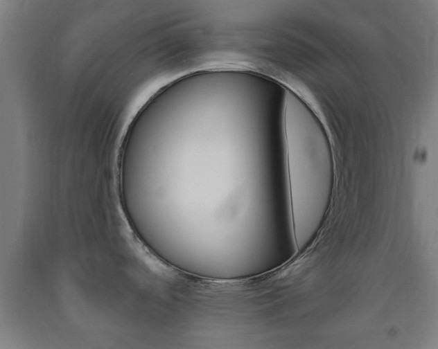 X0000093241488200709261519