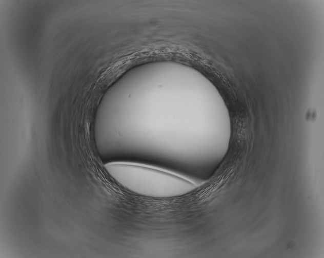 X0000093241489200709261519