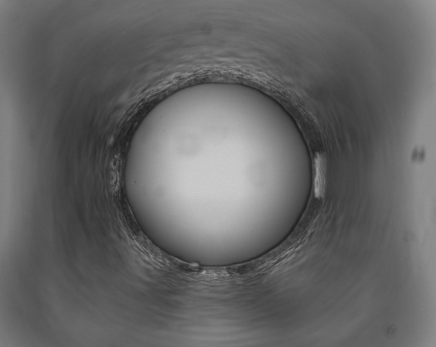 X0000093241491200709261519