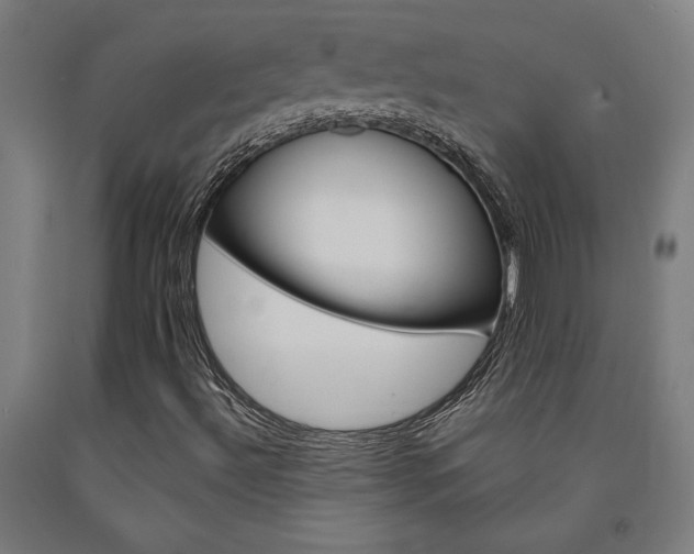 X0000093241492200709261519