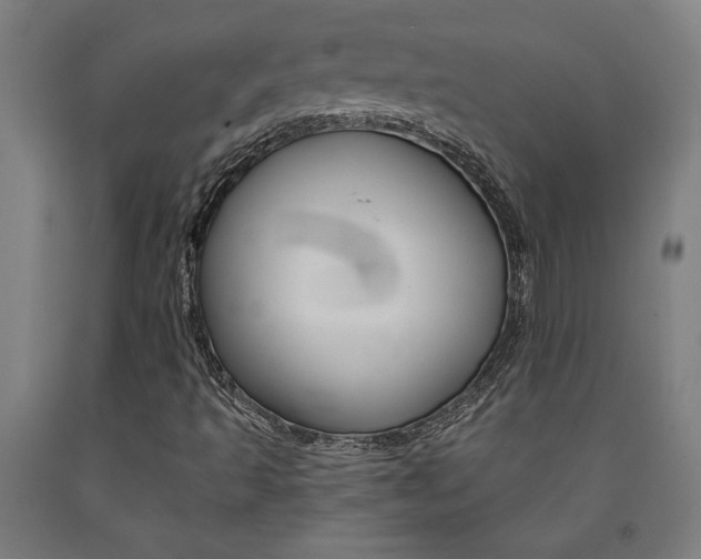 X0000093241493200709261519