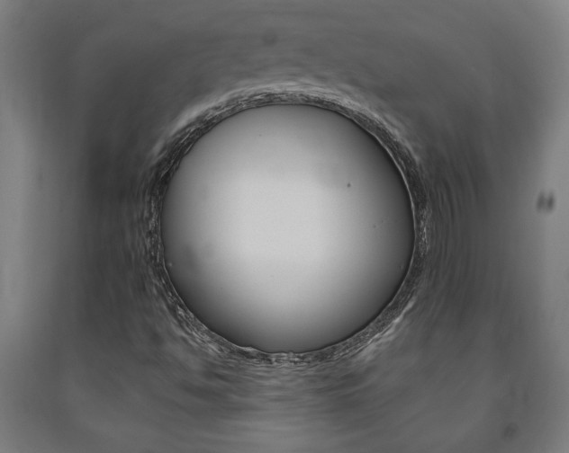X0000093241494200709261519