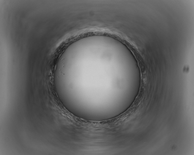 X0000093241495200709261519