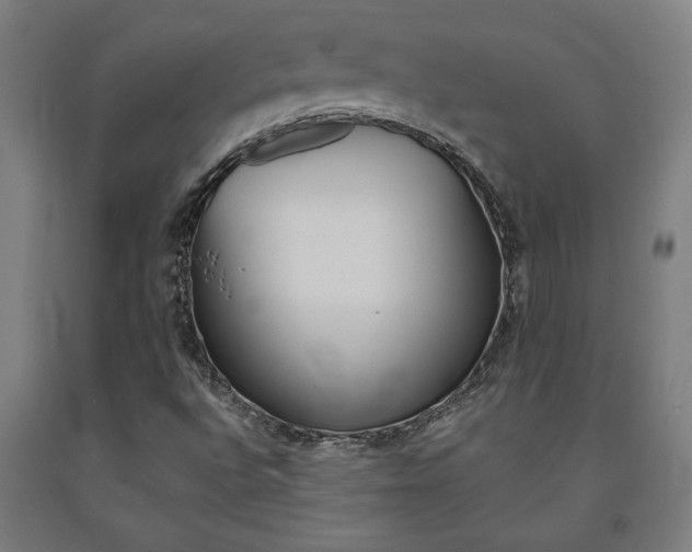 X0000093241496200709261519
