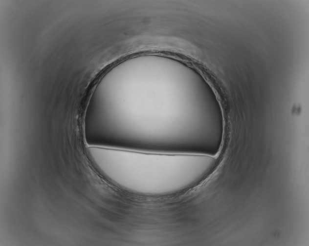 X0000093241497200709261519