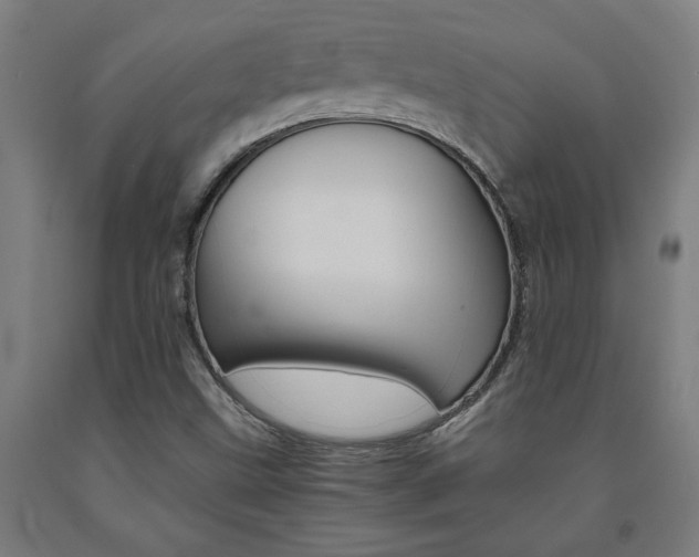 X0000093241499200709261519