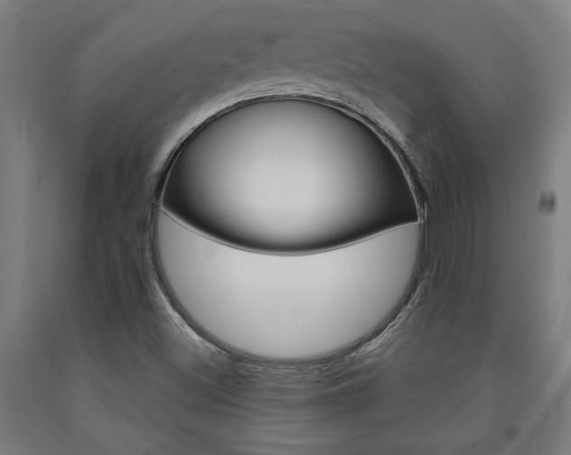 X0000093241500200709261519