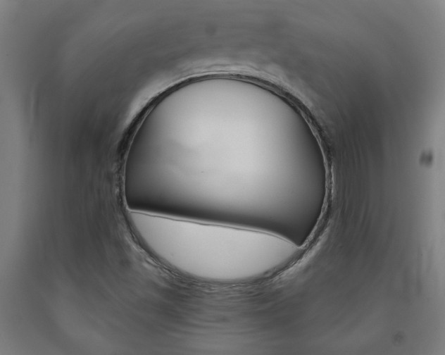 X0000093241501200709261519