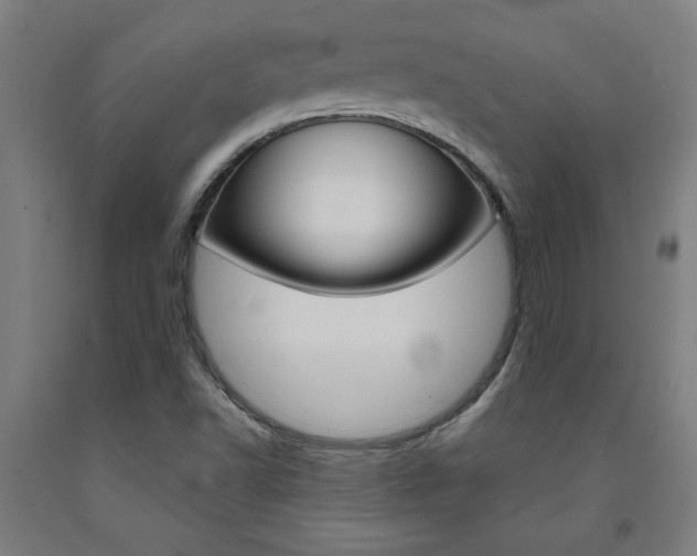 X0000093241502200709261519