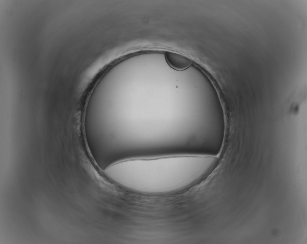X0000093241503200709261519