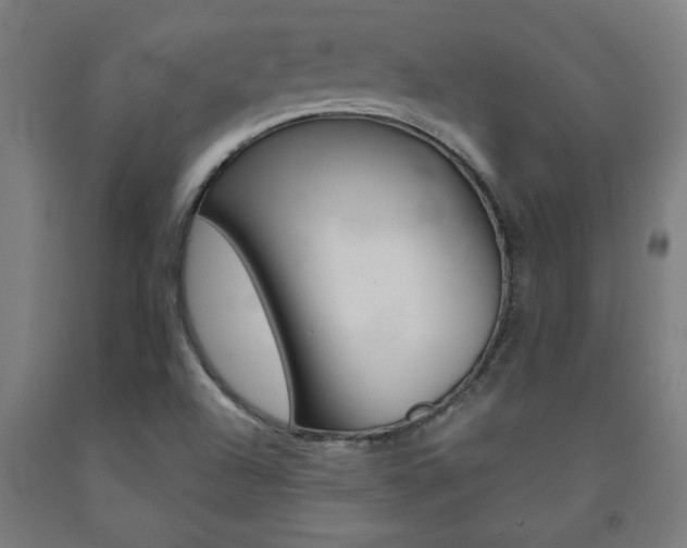X0000093241504200709261519