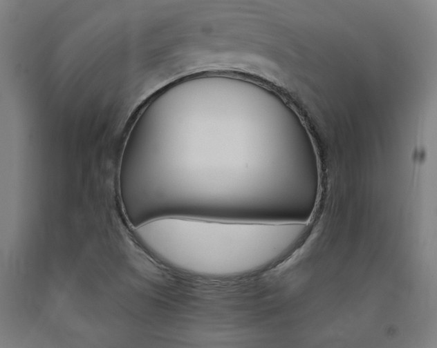 X0000093241505200709261519