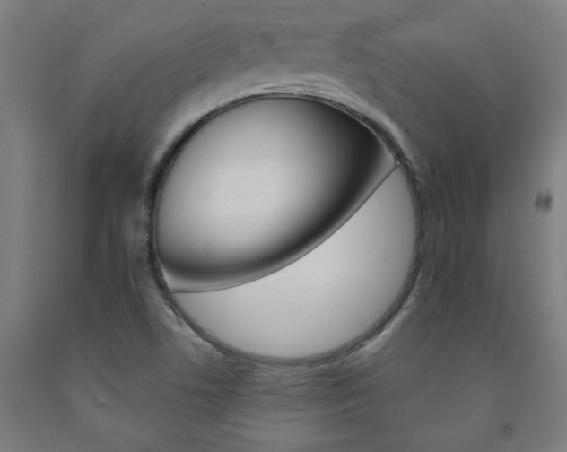 X0000093241506200709261519
