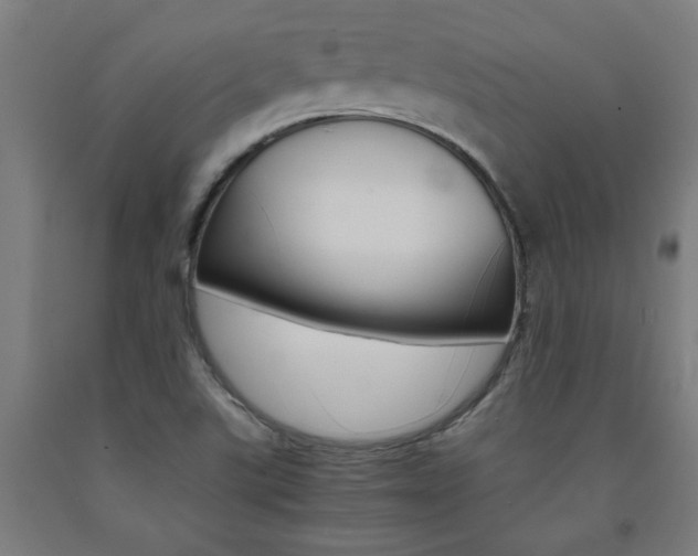 X0000093241507200709261519
