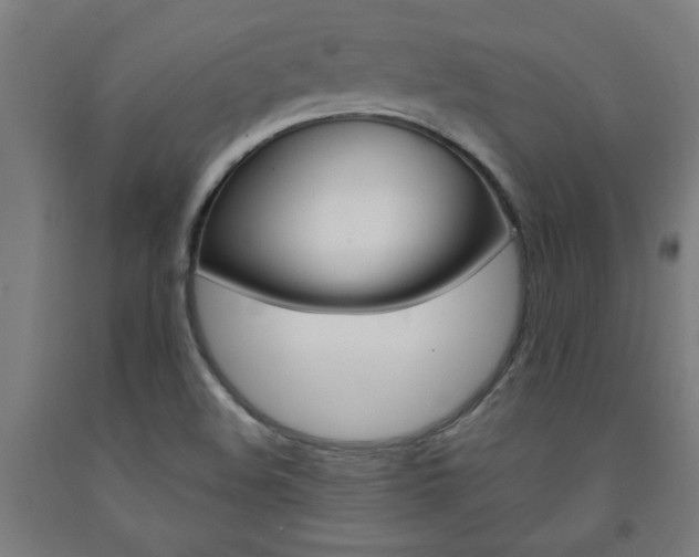 X0000093241508200709261519