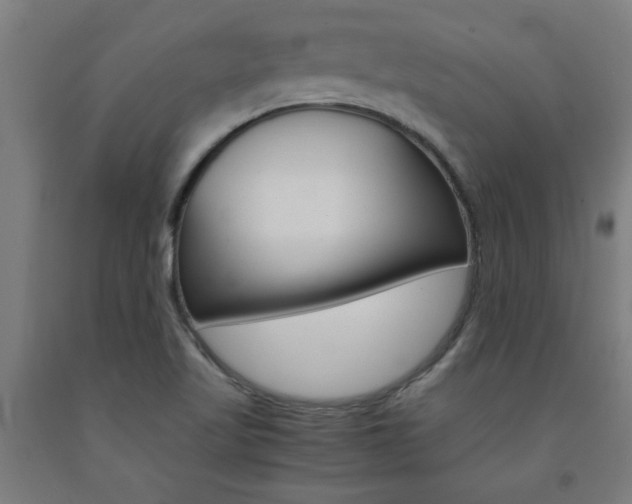 X0000093241509200709261519