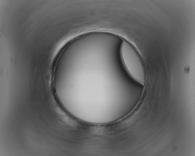 X0000093241511200709261519