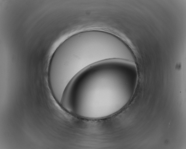 X0000093241512200709261519