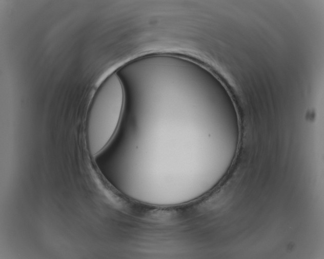 X0000093241513200709261519
