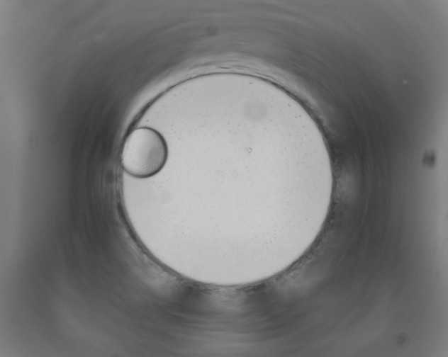 X0000093241514200709261519