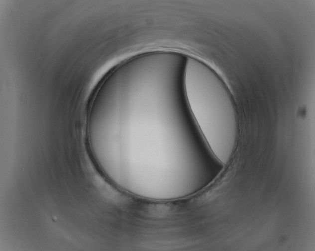 X0000093241515200709261519
