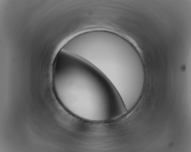 X0000093241516200709261519