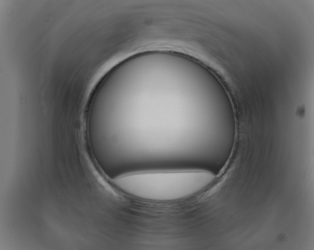 X0000093241517200709261519