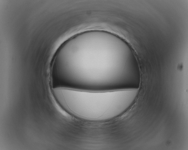 X0000093241519200709261519