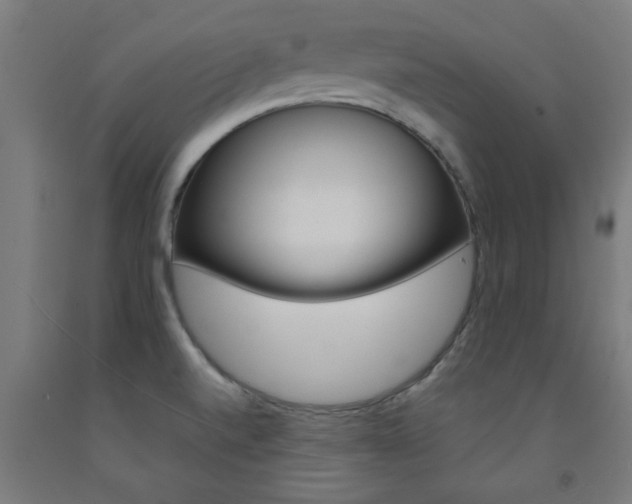 X0000093241520200709261519