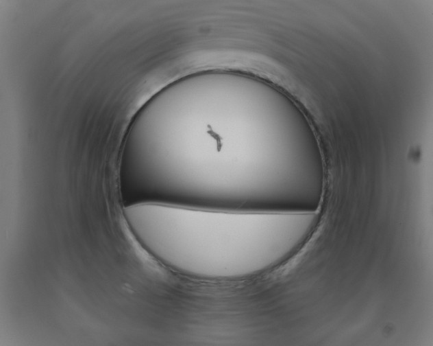 X0000093241521200709261519
