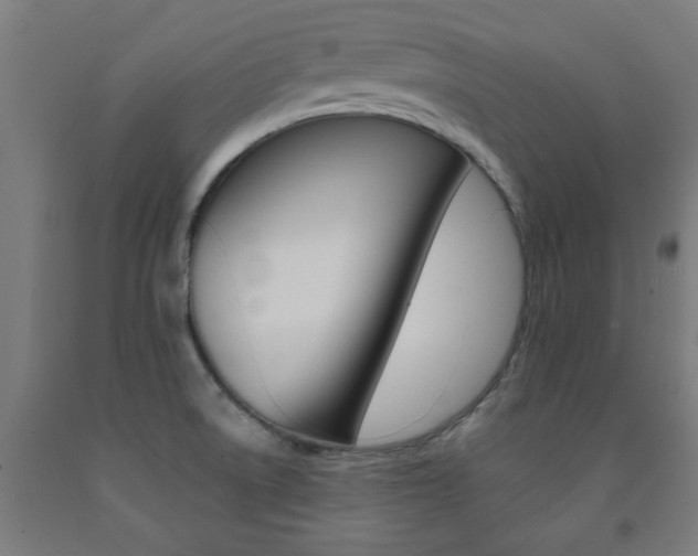 X0000093241522200709261519