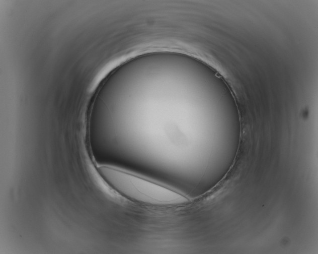 X0000093241523200709261519