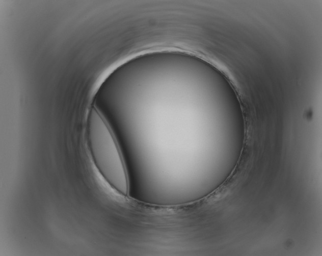 X0000093241524200709261519