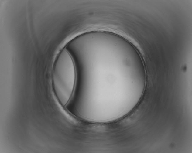 X0000093241525200709261519