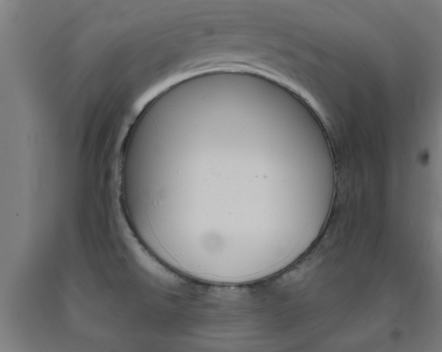 X0000093241526200709261519