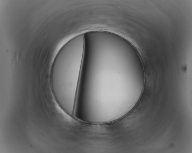 X0000093241527200709261519