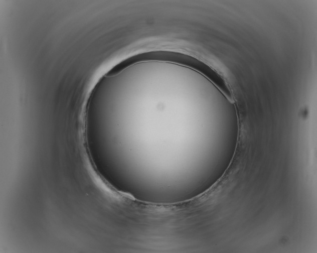 X0000093241528200709261519